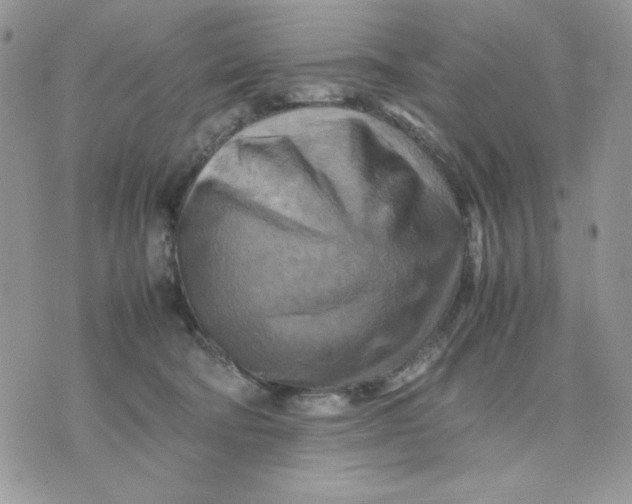 X0000075380322200609291557