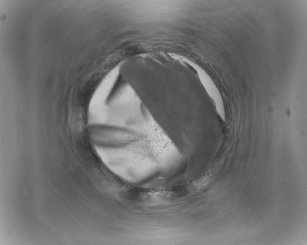 X0000075380323200609291557