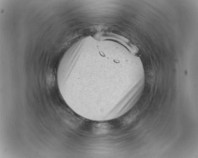 X0000075380324200609291557