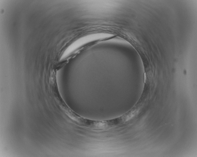 X0000075380325200609291557