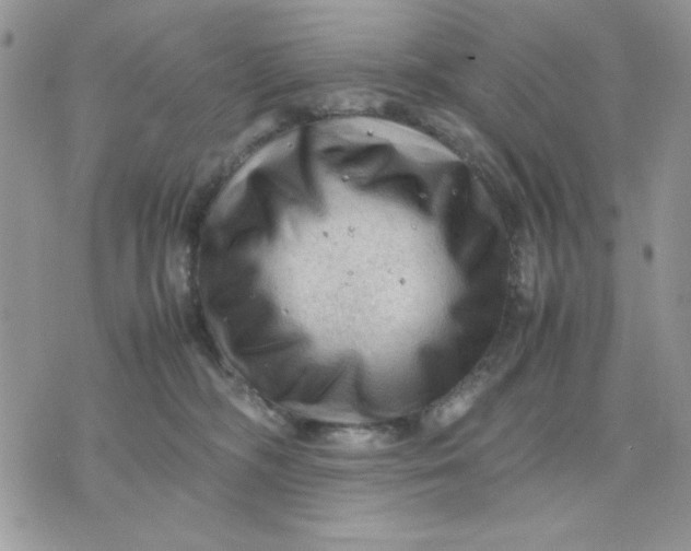 X0000075380326200609291557