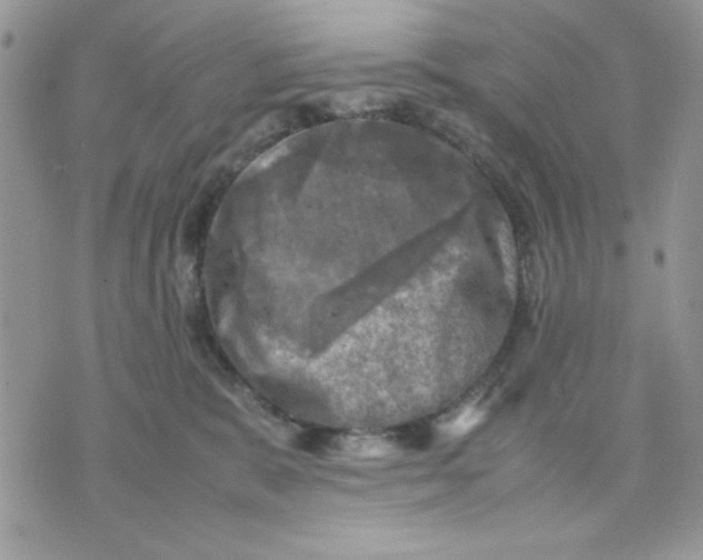 X0000075380327200609291557