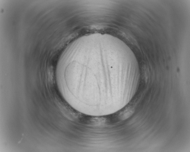 X0000075380328200609291557