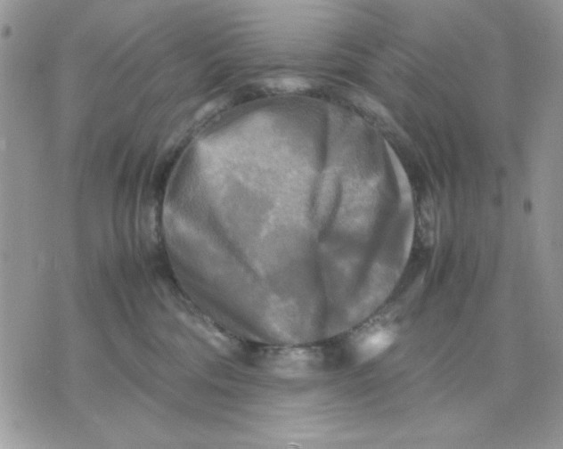 X0000075380330200609291557