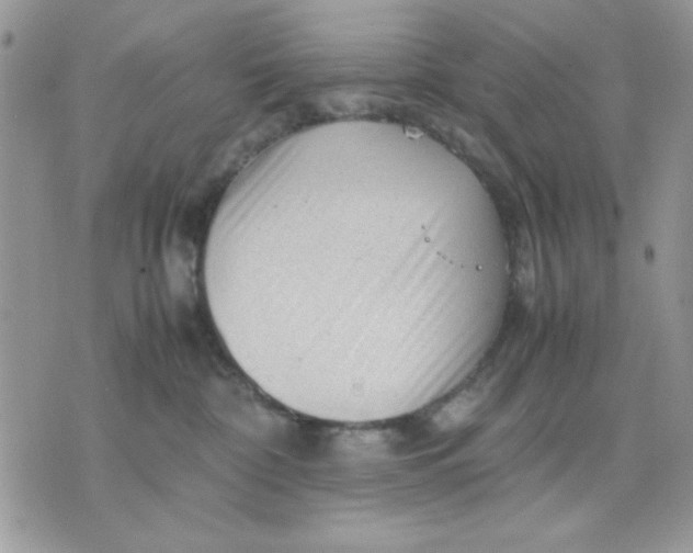 X0000075380332200609291557