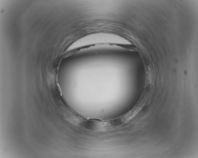 X0000075380333200609291557