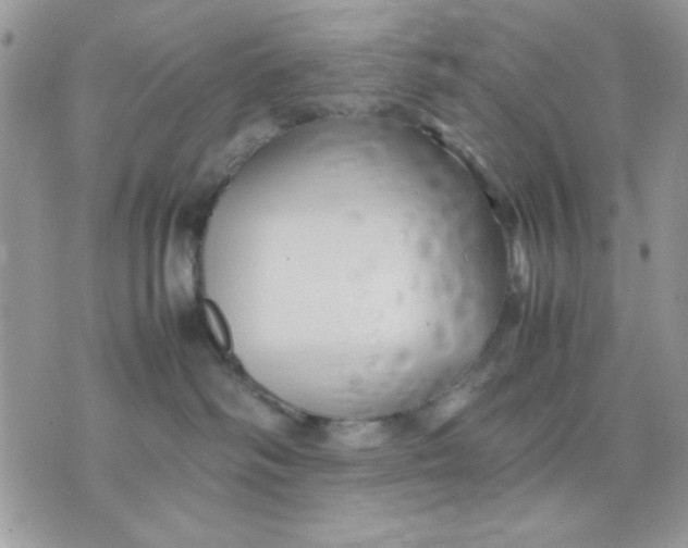 X0000075380334200609291557