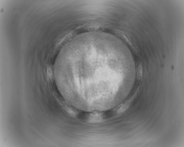 X0000075380335200609291557