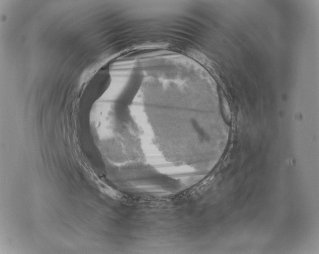 X0000075380337200609291556