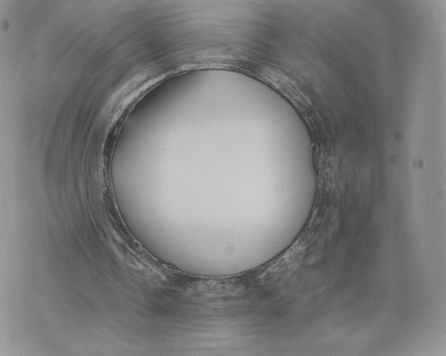 X0000075380338200609291556