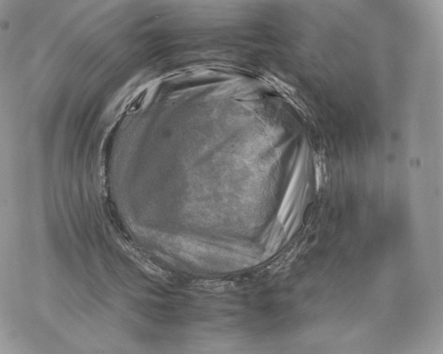 X0000075380339200609291556