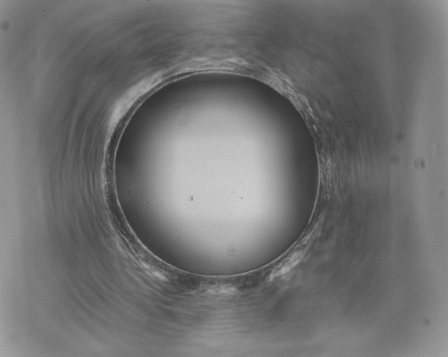 X0000075380340200609291556