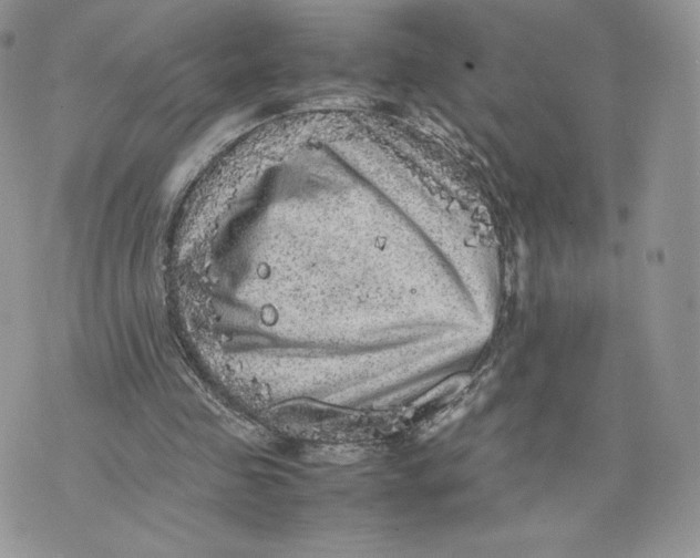 X0000075380341200609291556