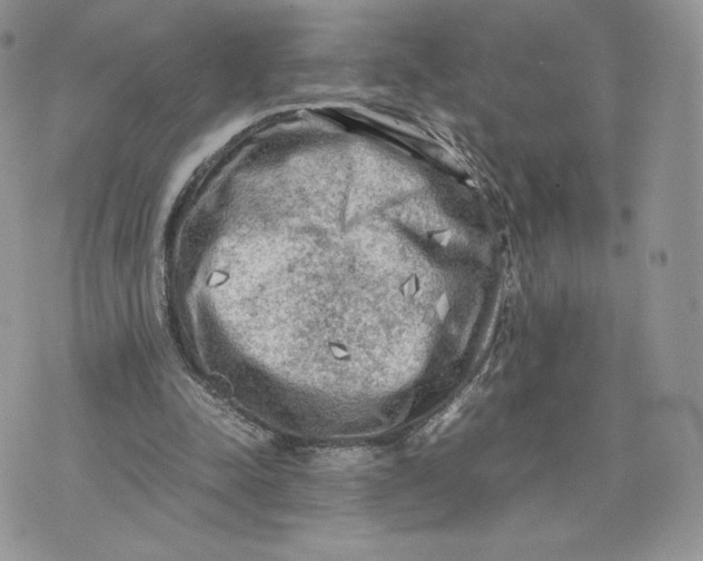 X0000075380342200609291556