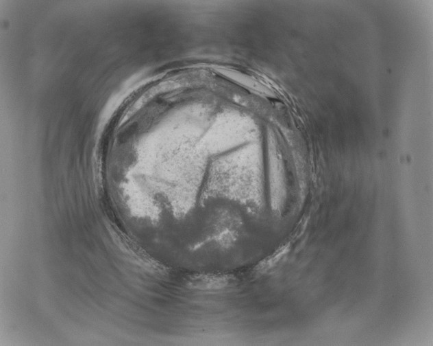 X0000075380343200609291556