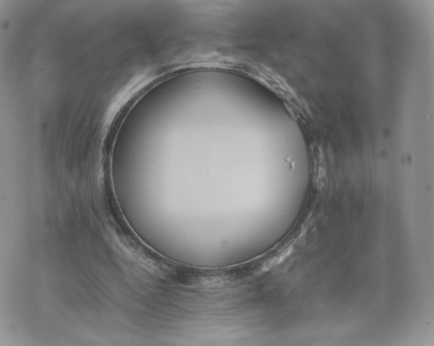 X0000075380344200609291556