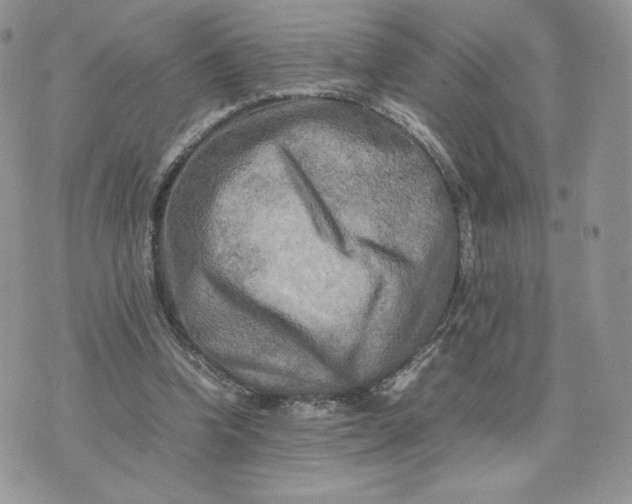 X0000075380346200609291556