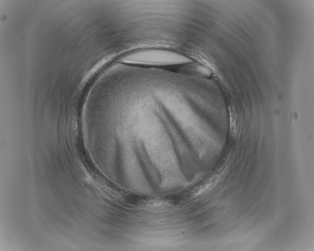 X0000075380348200609291556