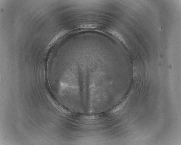 X0000075380349200609291556