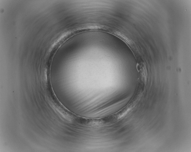 X0000075380350200609291556