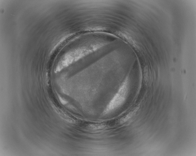 X0000075380351200609291556