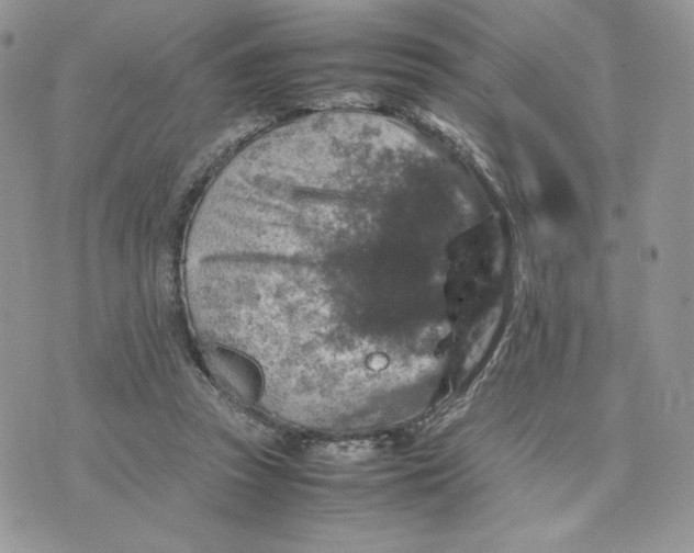 X0000075380353200609291556