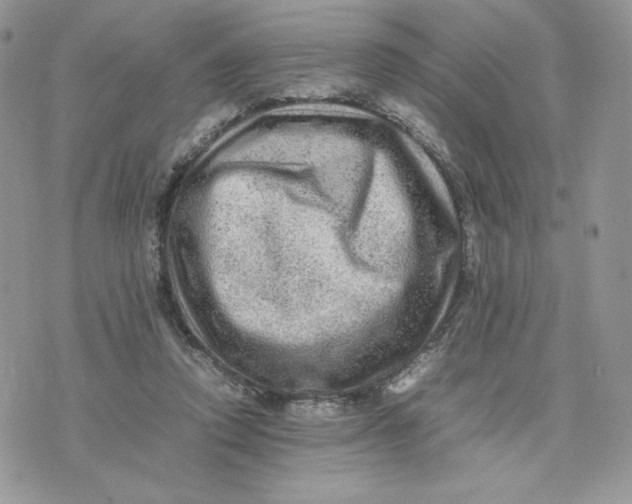 X0000075380354200609291556