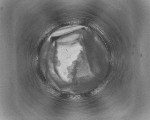 X0000075380355200609291557