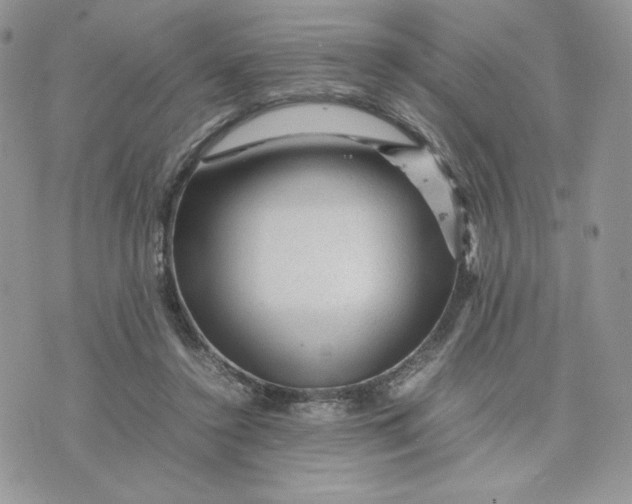 X0000075380356200609291557