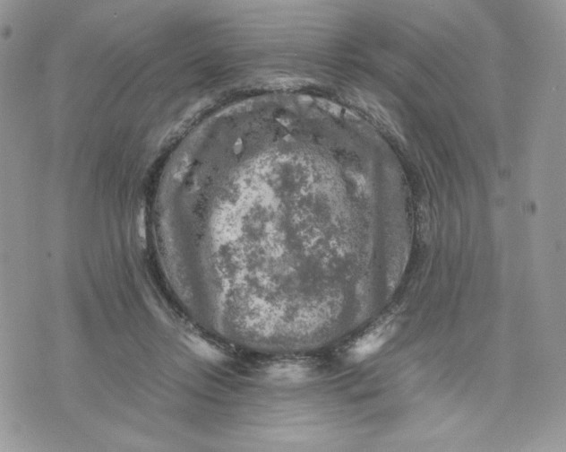 X0000075380358200609291557