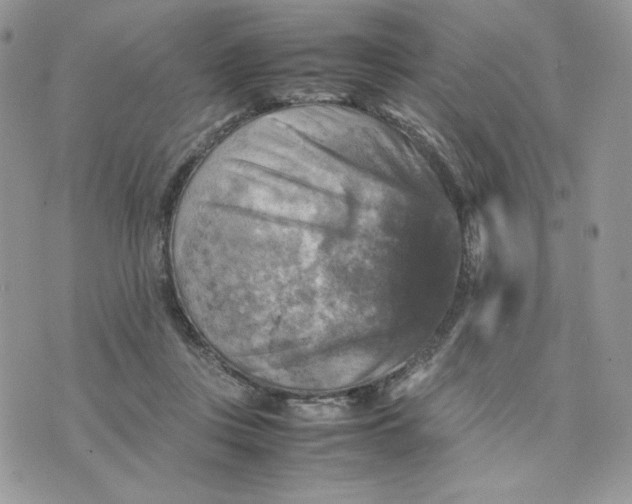 X0000075380359200609291557