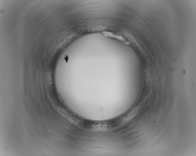 X0000075380362200609291557