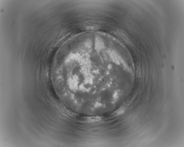 X0000075380363200609291557