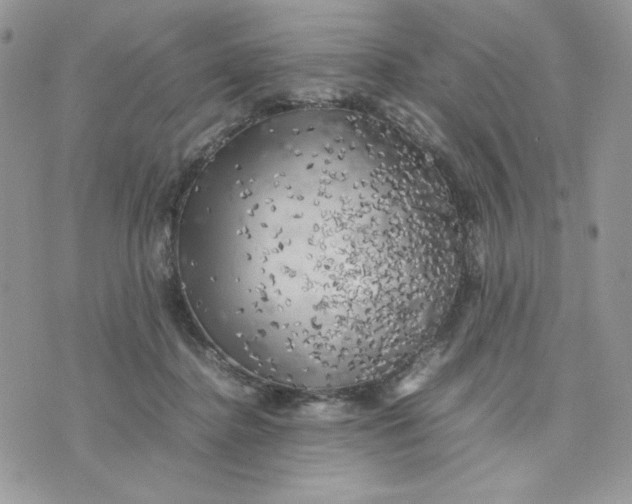 X0000075380364200609291557