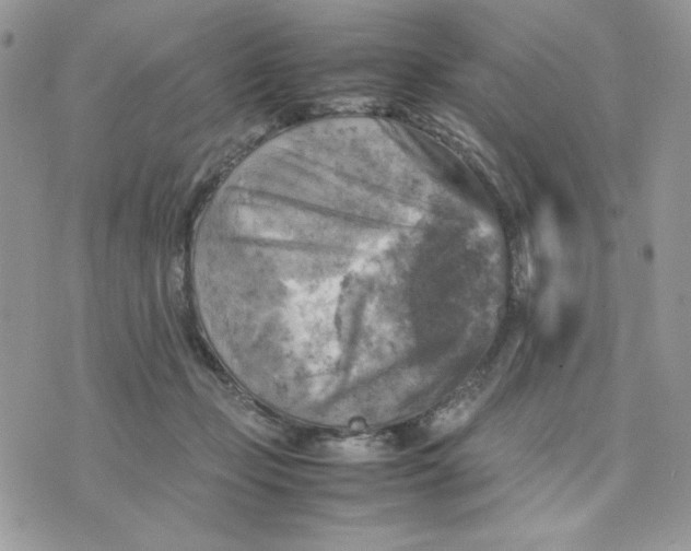 X0000075380365200609291557