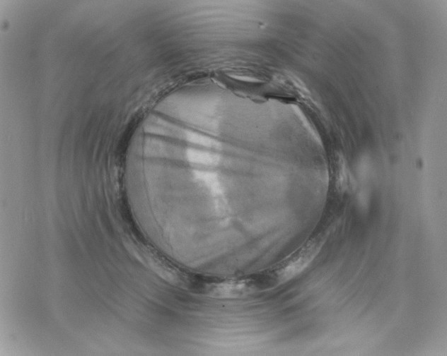 X0000075380366200609291557