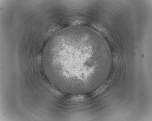 X0000075380369200609291557