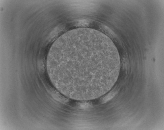 X0000075380370200609291557