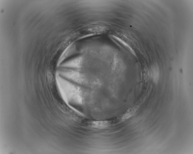 X0000075380371200609291557