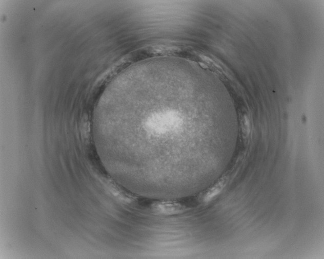 X0000075380372200609291557