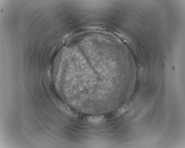 X0000075380373200609291557