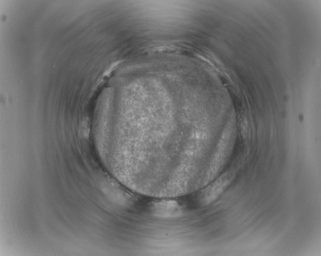 X0000075380374200609291557