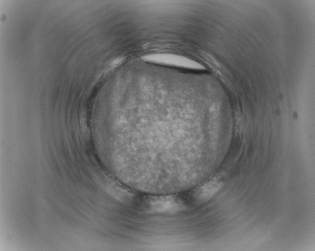 X0000075380377200609291557