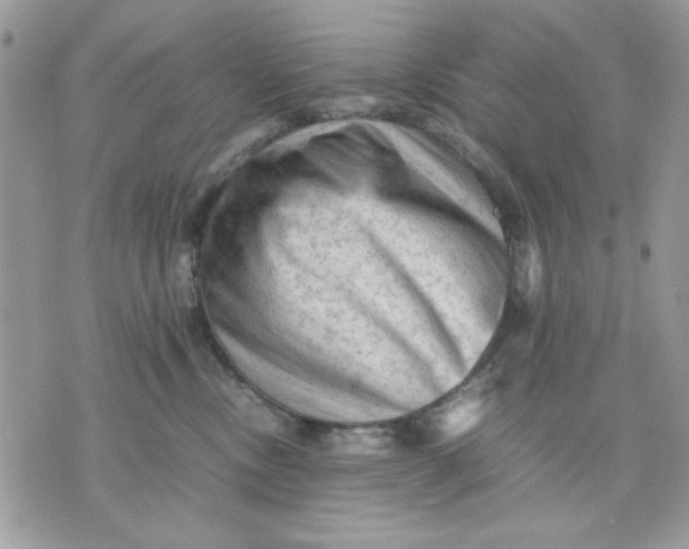 X0000075380378200609291557