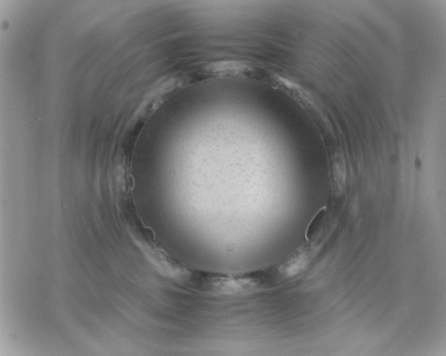 X0000075380379200609291557