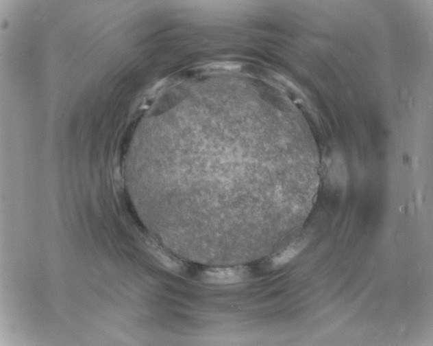 X0000075380381200609291557