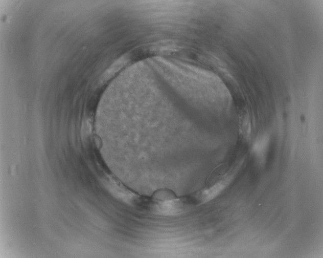 X0000075380382200609291557