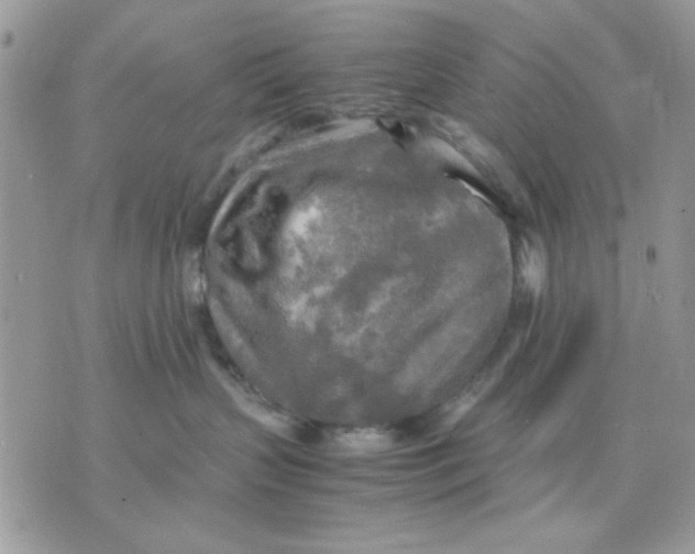 X0000075380383200609291557