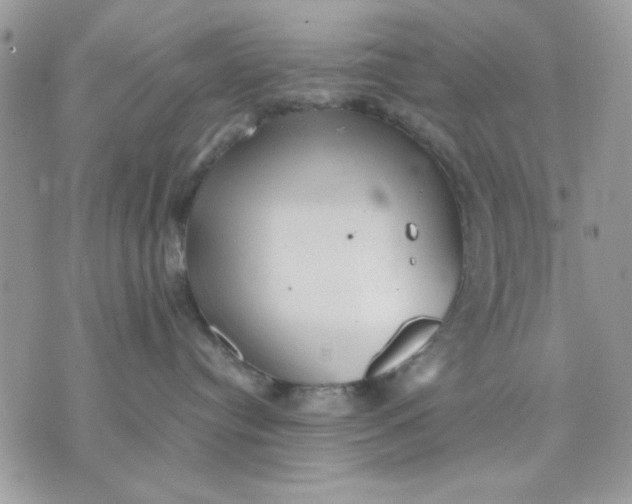 X0000075380384200609291557