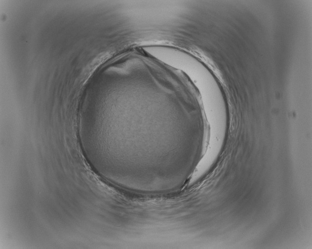 X0000075380385200609291556